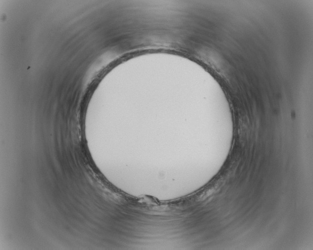 X0000064751172200603131336