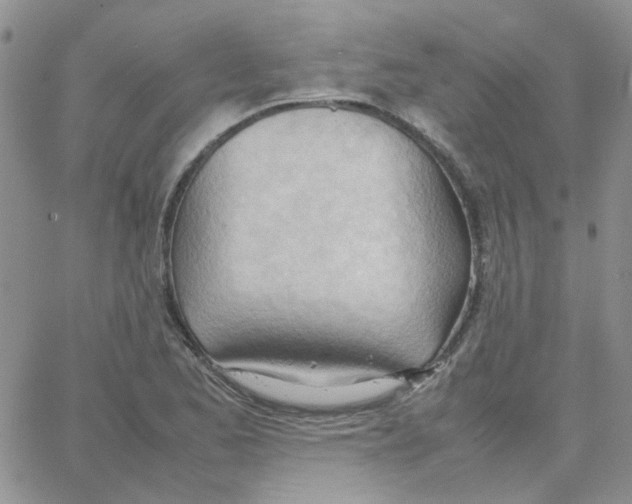 X0000064751173200603131336