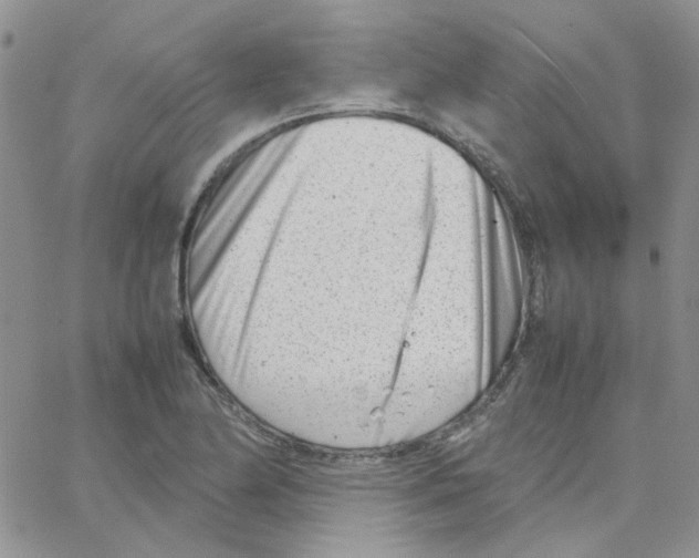 X0000064751174200603131336