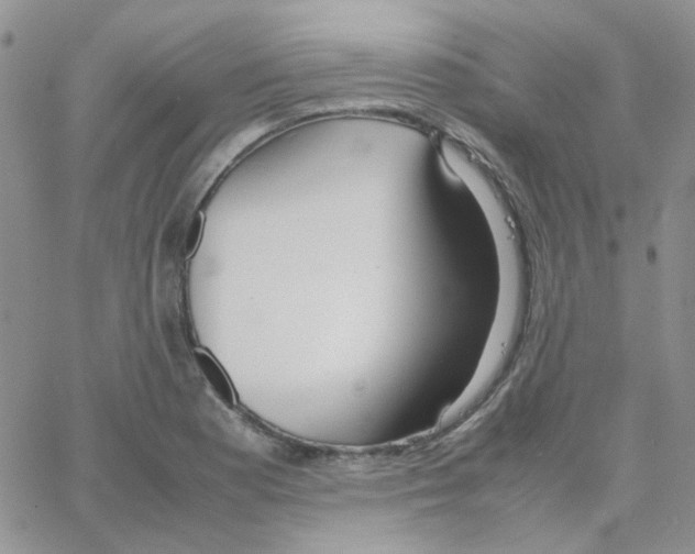 X0000064751177200603131336