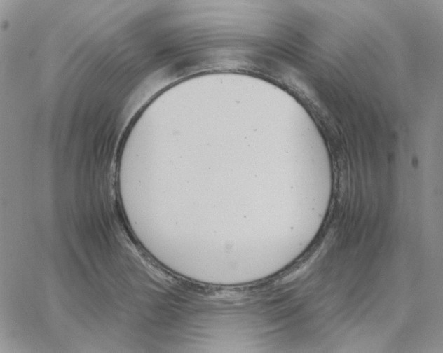 X0000064751178200603131336