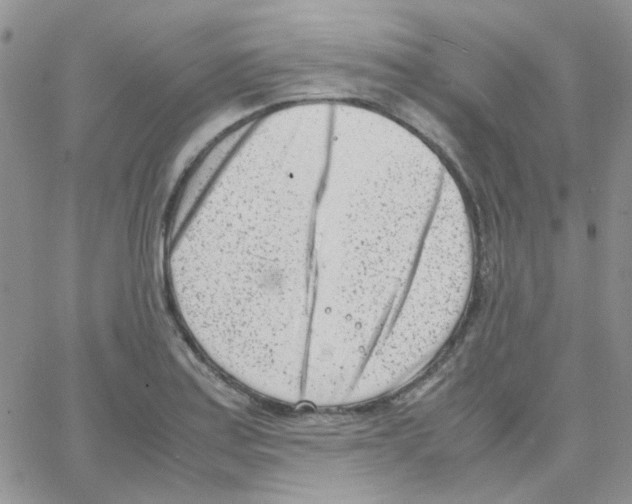 X0000064751179200603131336