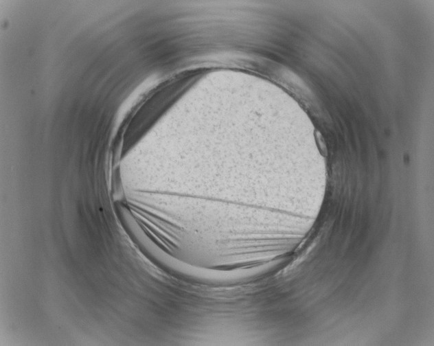 X0000064751180200603131336