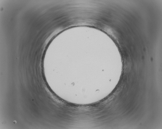 X0000064751181200603131336