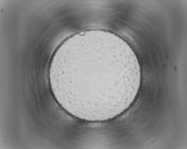 X0000064751182200603131336