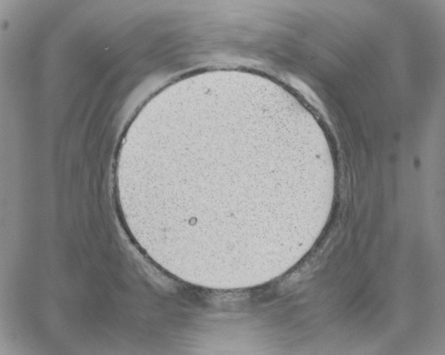 X0000064751183200603131336