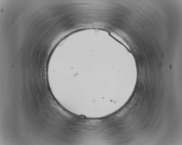 X0000064751184200603131336