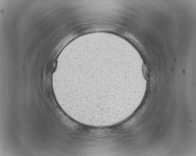 X0000064751185200603131336