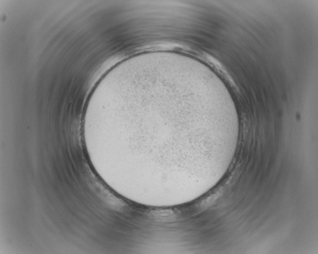 X0000064751186200603131336