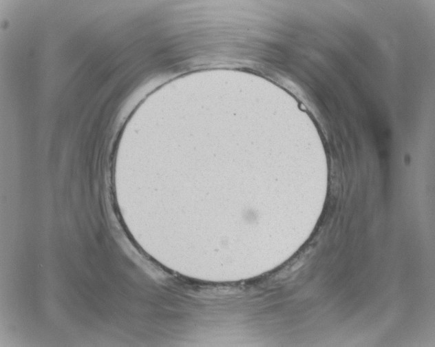 X0000064751187200603131336