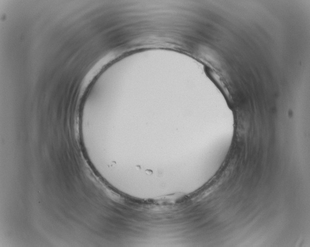 X0000064751188200603131336