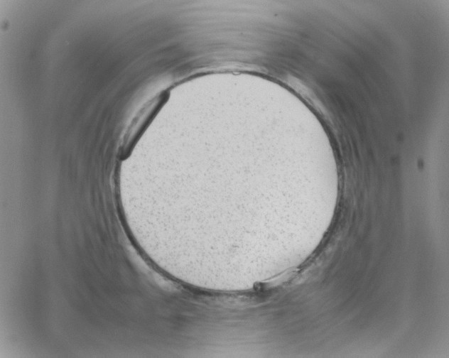 X0000064751189200603131336