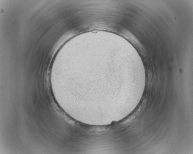 X0000064751190200603131336