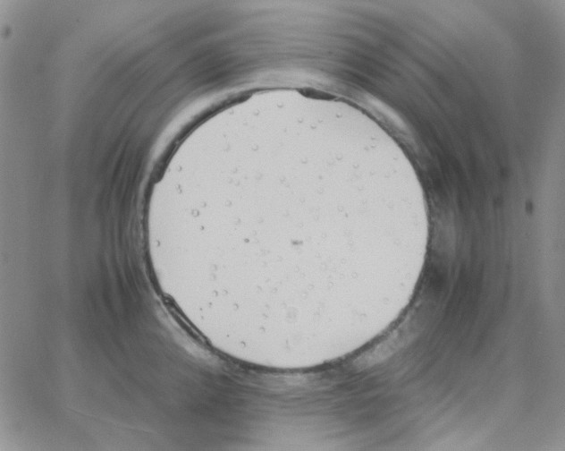 X0000064751192200603131336