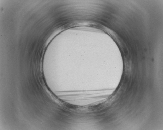 X0000064751194200603131336