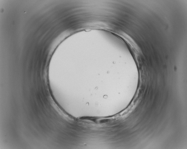 X0000064751196200603131336