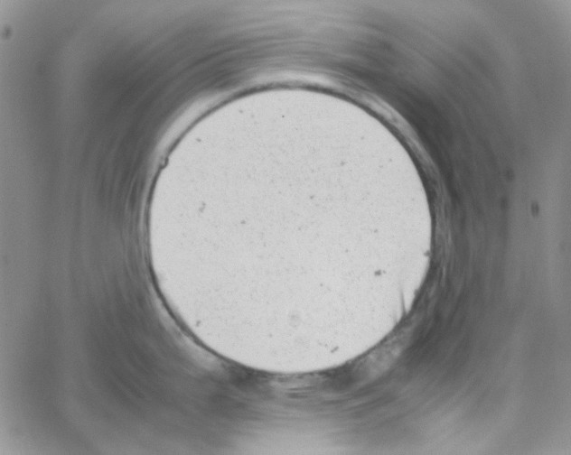 X0000064751199200603131336