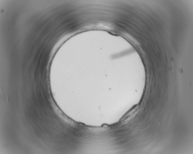 X0000064751200200603131335