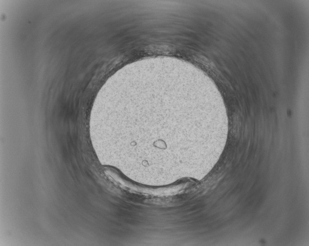 X0000064751201200603131335