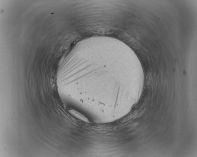 X0000064751202200603131335