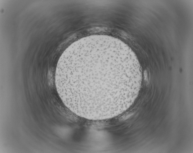 X0000064751203200603131335