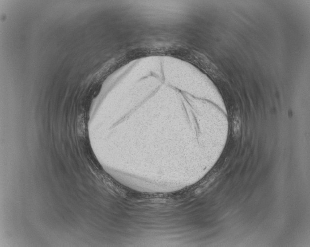 X0000064751204200603131335