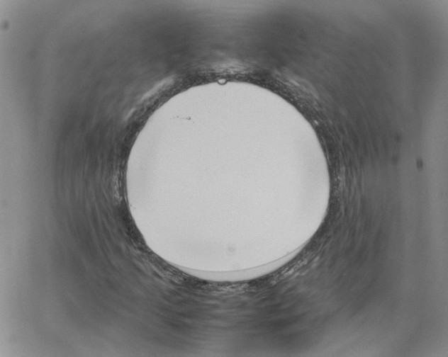 X0000064751205200603131335