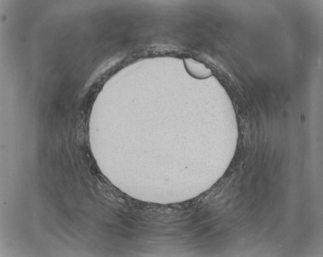 X0000064751207200603131335