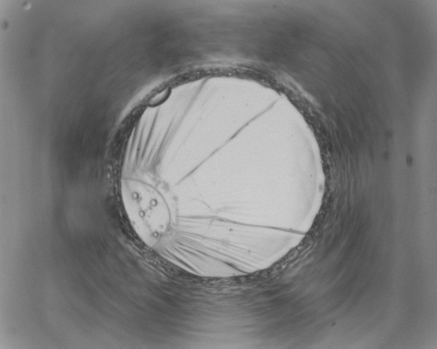 X0000064751208200603131335