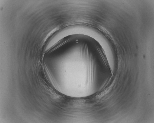 X0000064751210200603131335