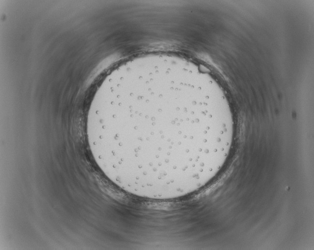 X0000064751211200603131335