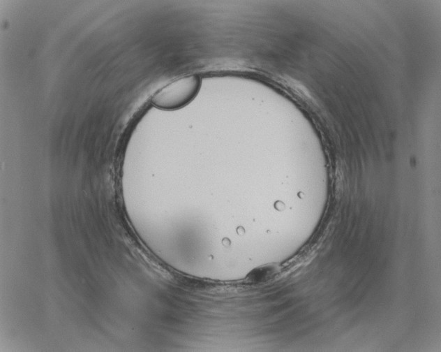 X0000064751212200603131335