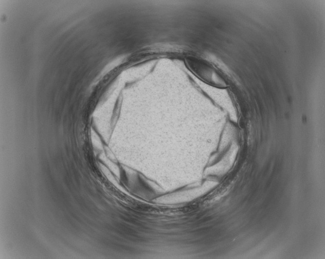 X0000064751213200603131335