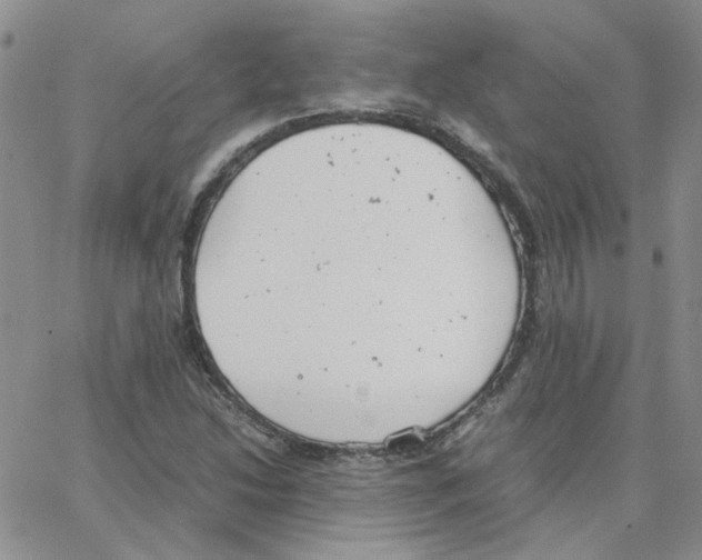 X0000064751214200603131335