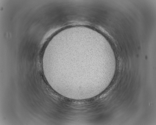 X0000064751215200603131335