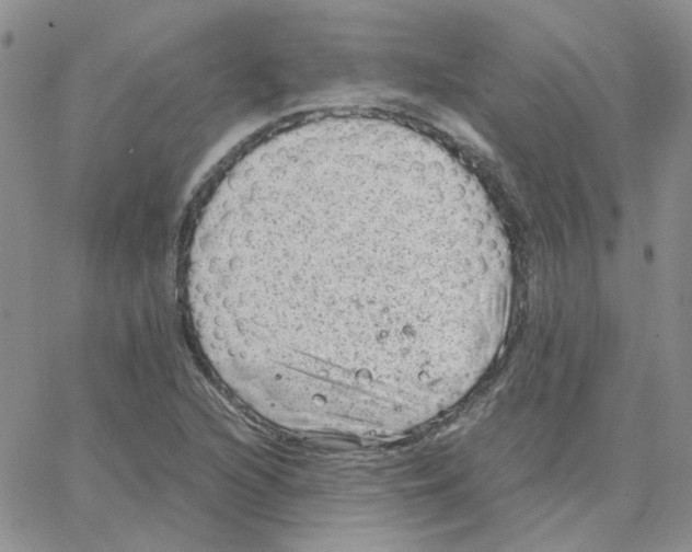 X0000064751216200603131335