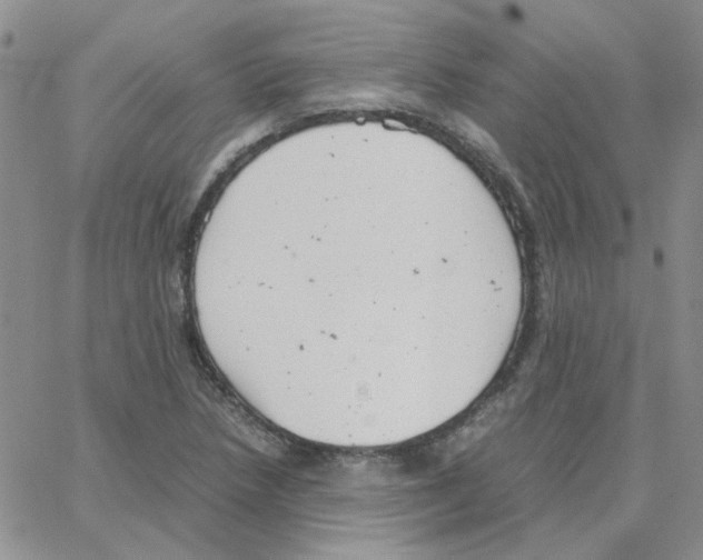 X0000064751218200603131335