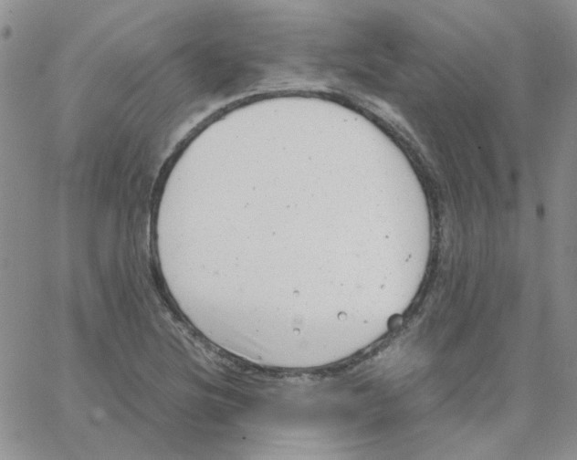 X0000064751220200603131335