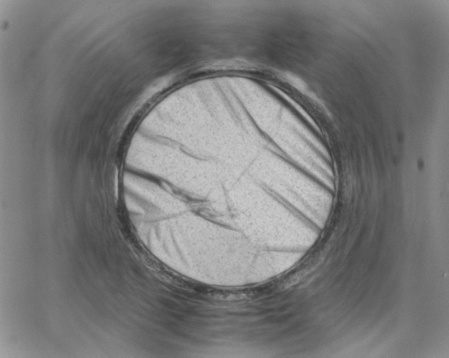 X0000064751221200603131335