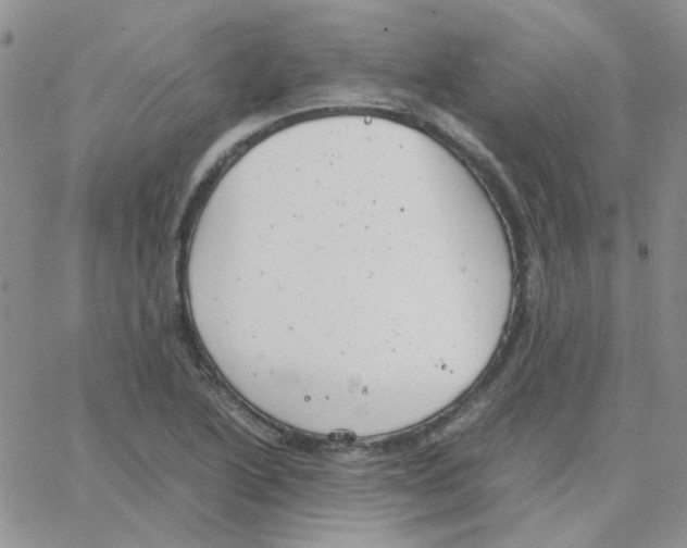 X0000064751222200603131335