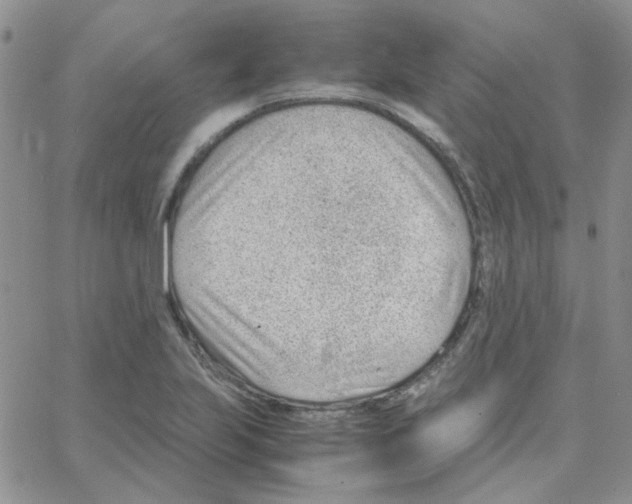 X0000064751223200603131335