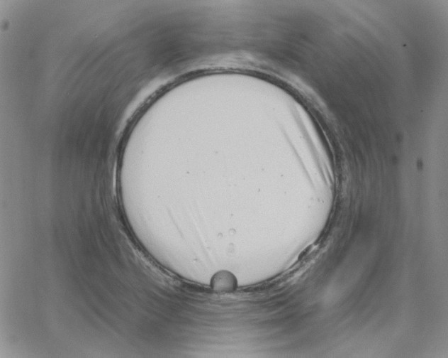 X0000064751224200603131335