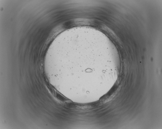 X0000064751225200603131335