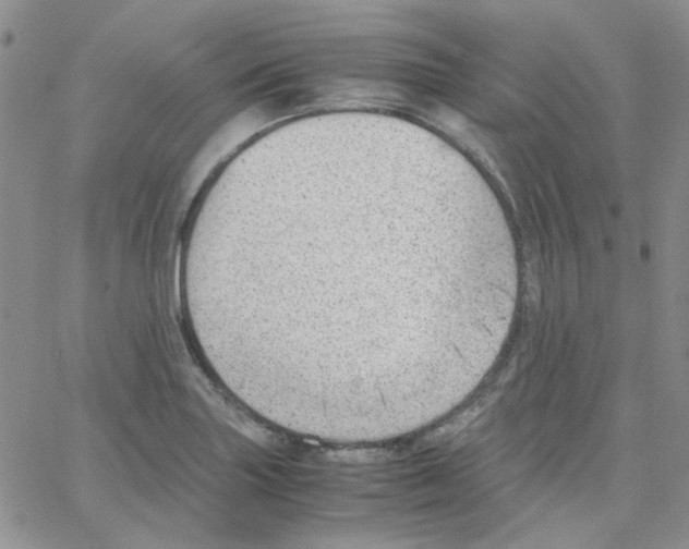 X0000064751227200603131335