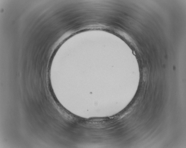 X0000064751229200603131335