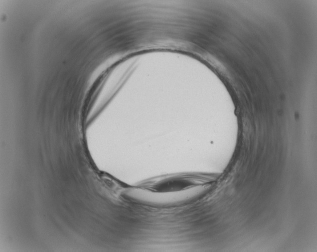 X0000064751230200603131335