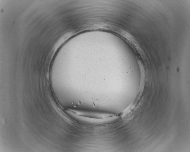 X0000064751234200603131335