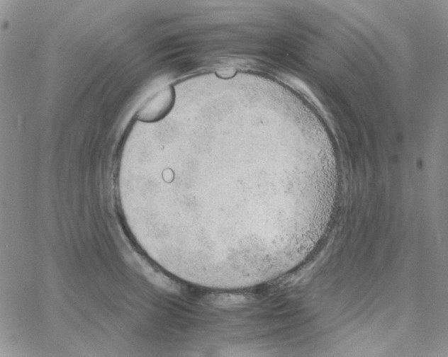 X0000064751235200603131335