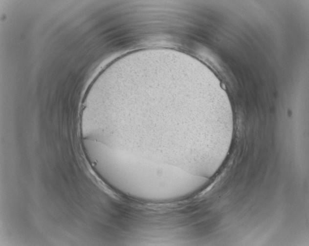 X0000064751236200603131335