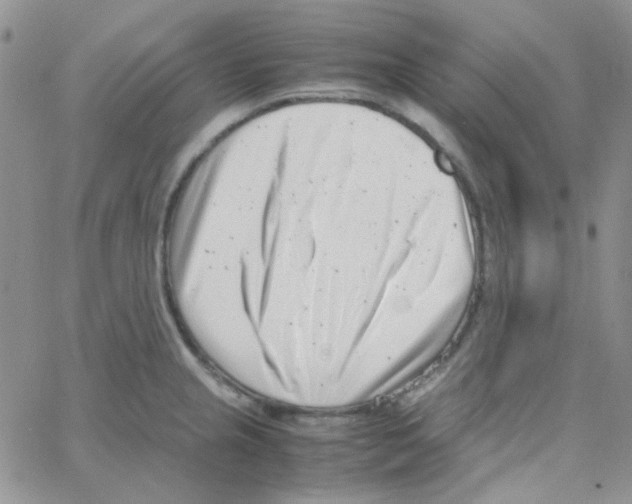 X0000064751237200603131335